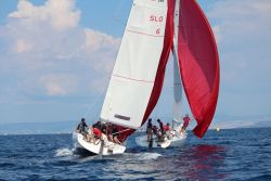 NCA Regatta S-Cup 2019 31.08.-04.09.2019 Izola